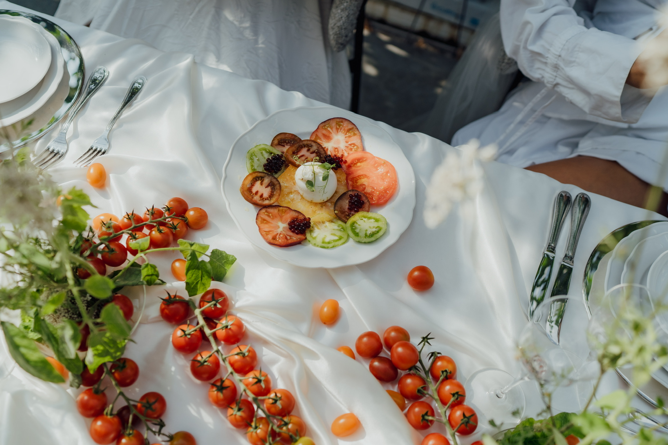 Aanzicht van de tomatenserie