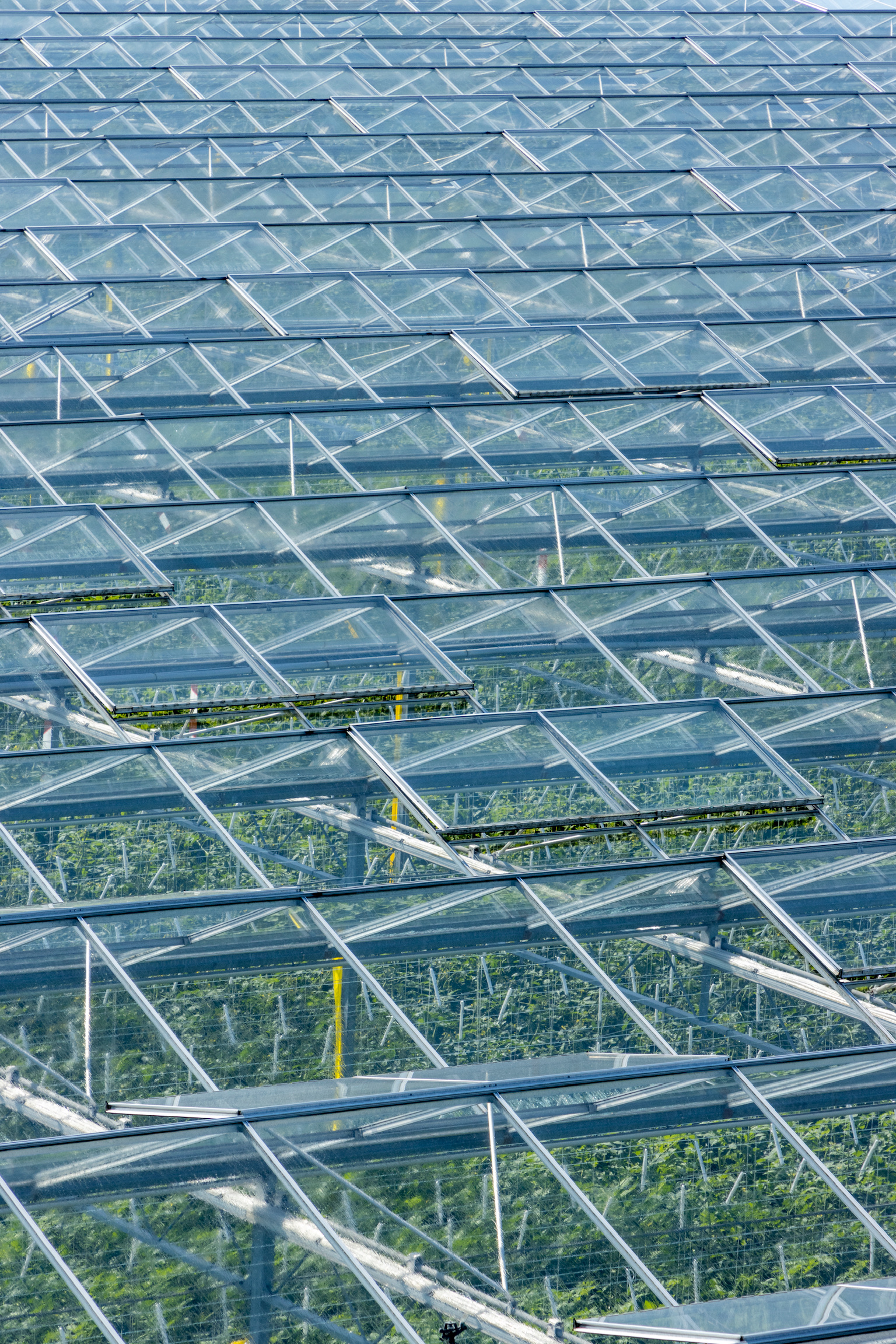 Opvang van regenwater op de daken